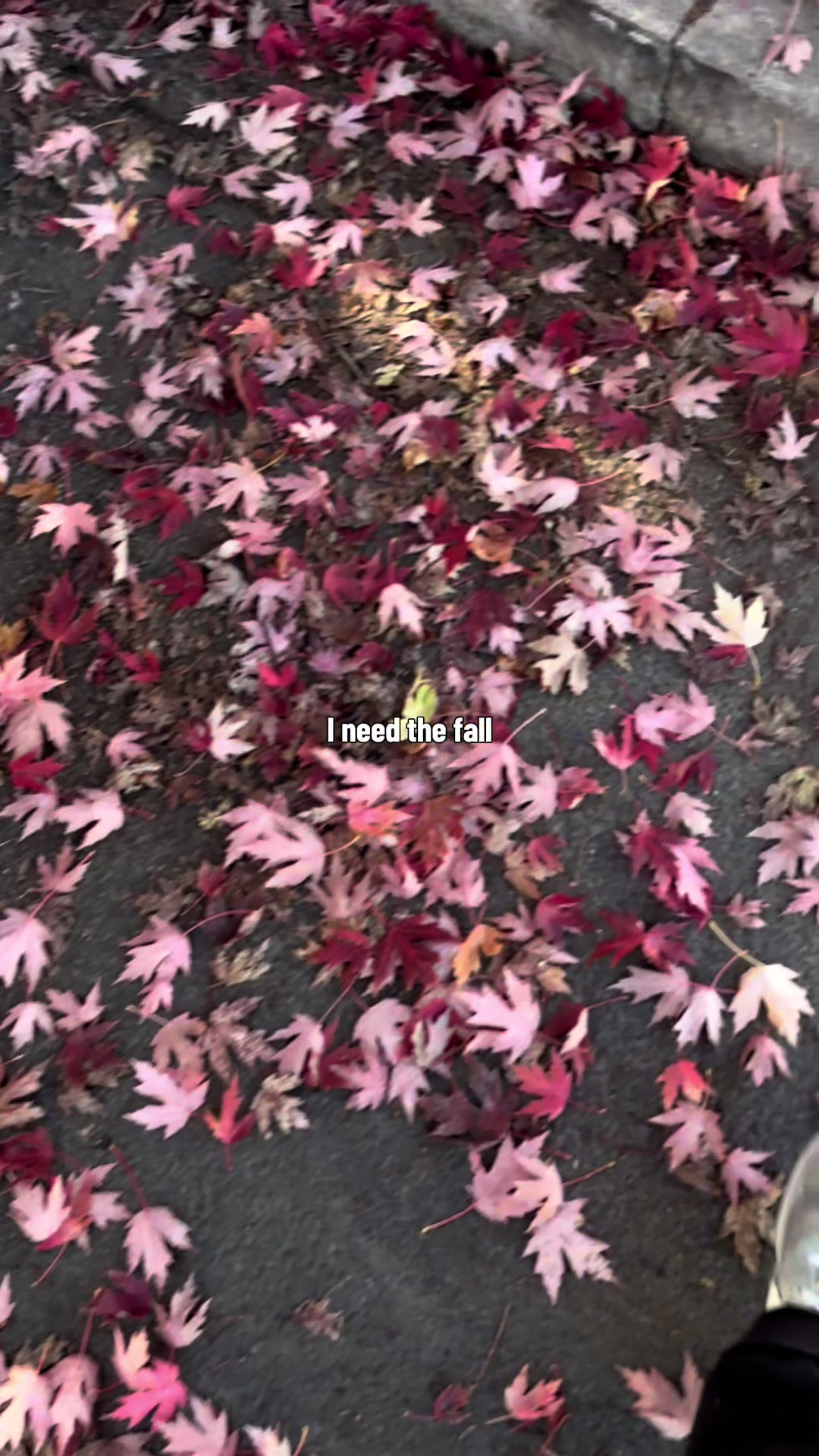 @gcoochie