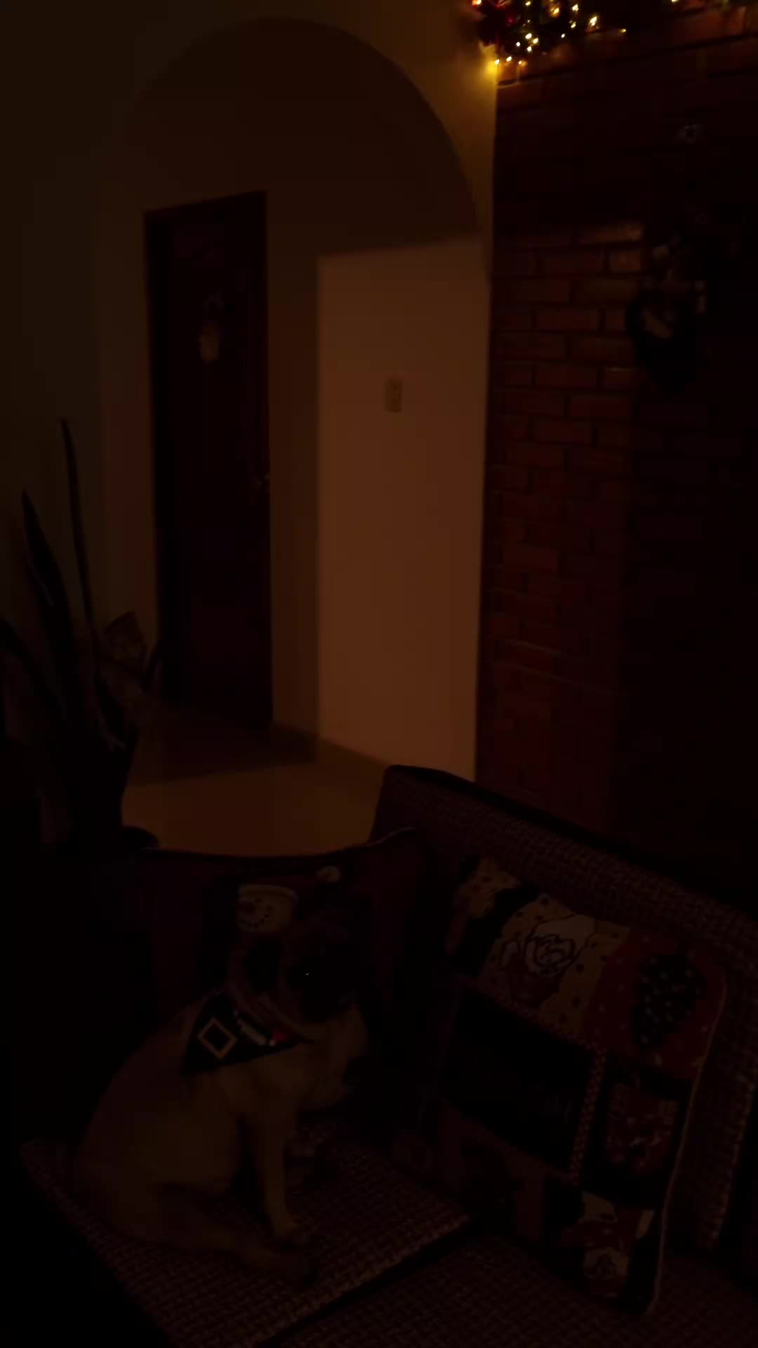 @diegotorrd🤠
