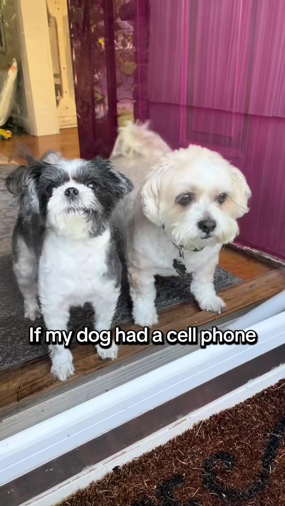 @LittleLuna.and.Lola