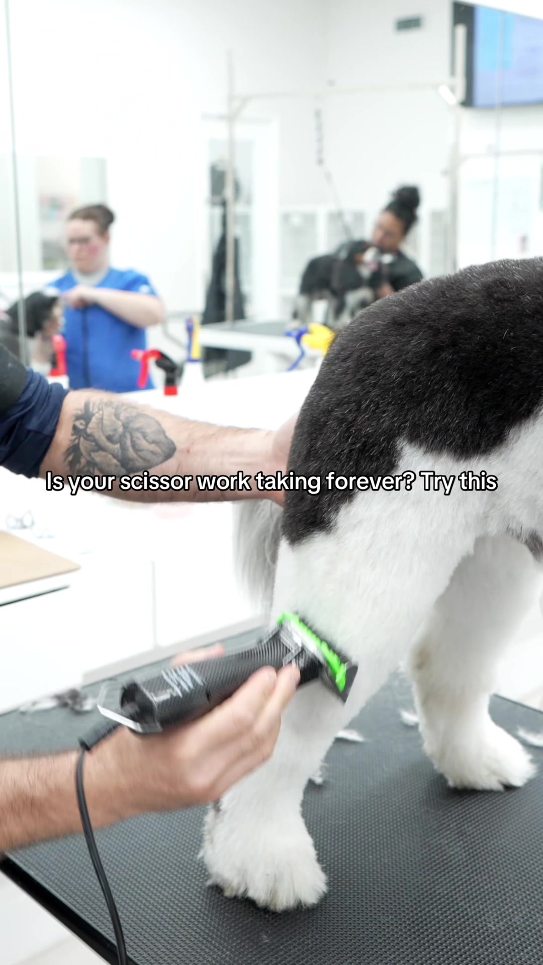 @NorCal Grooming Academy