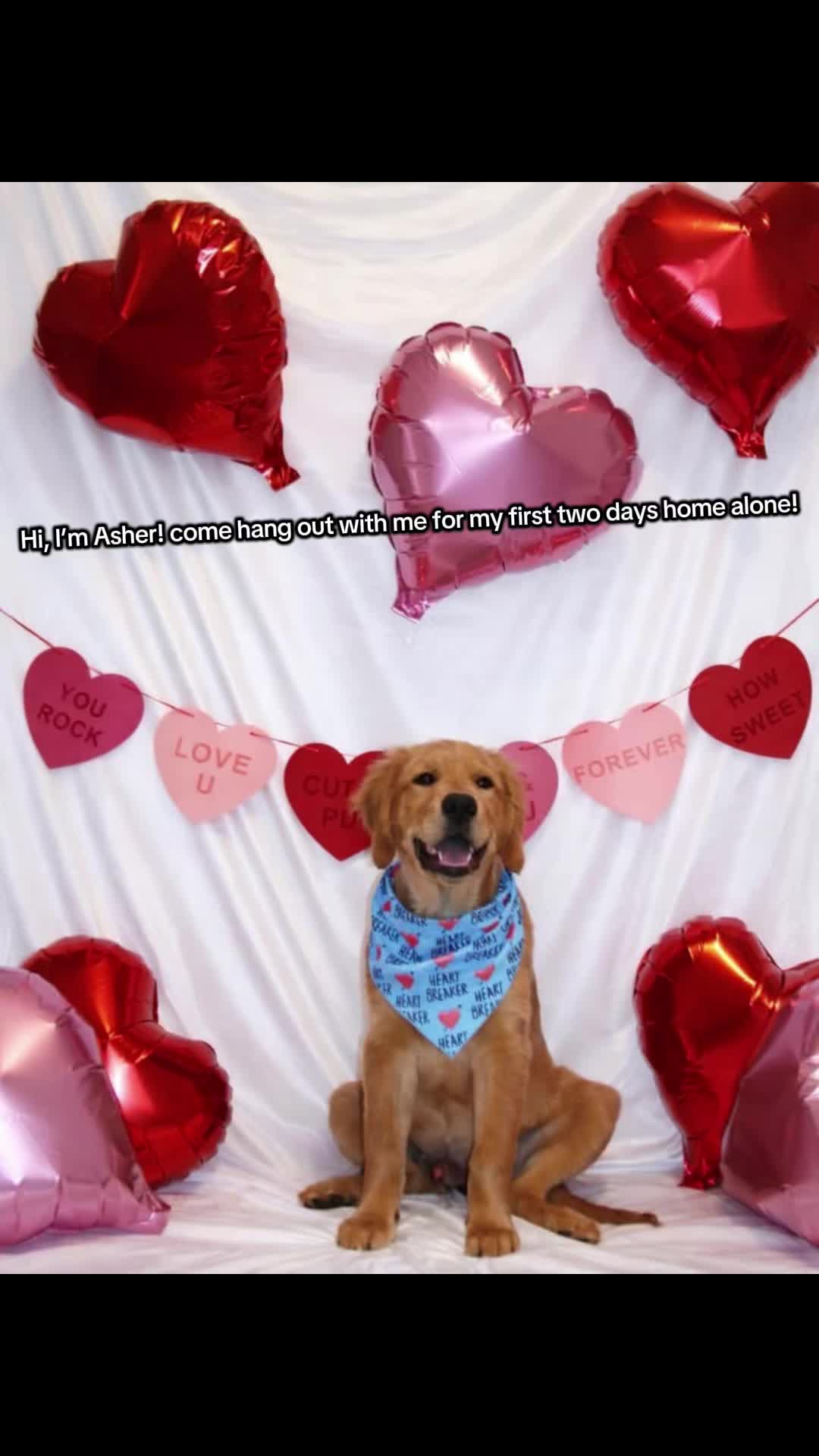 @asher_shai