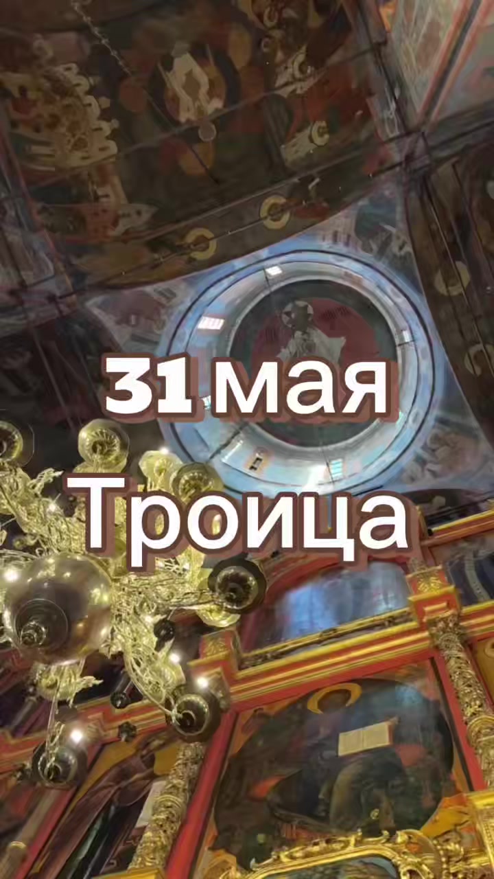 @tarolog_luba