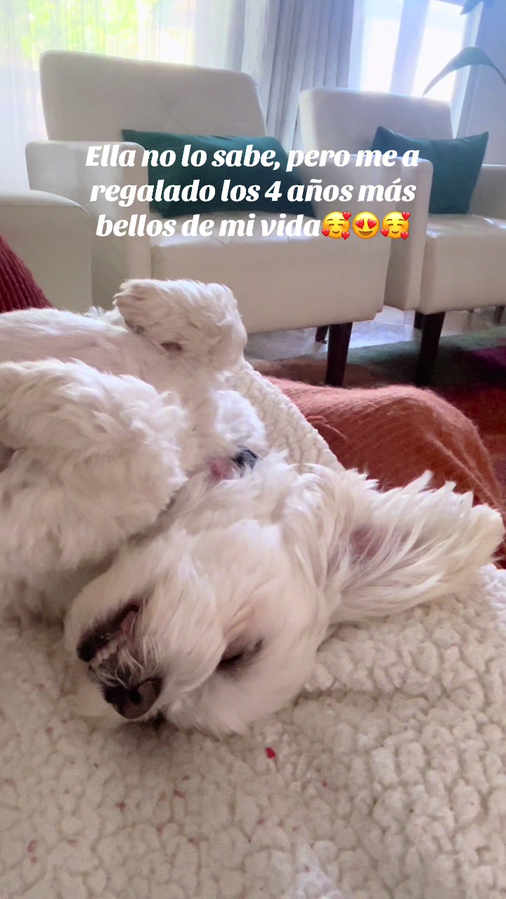 @AZUL🐶🥰