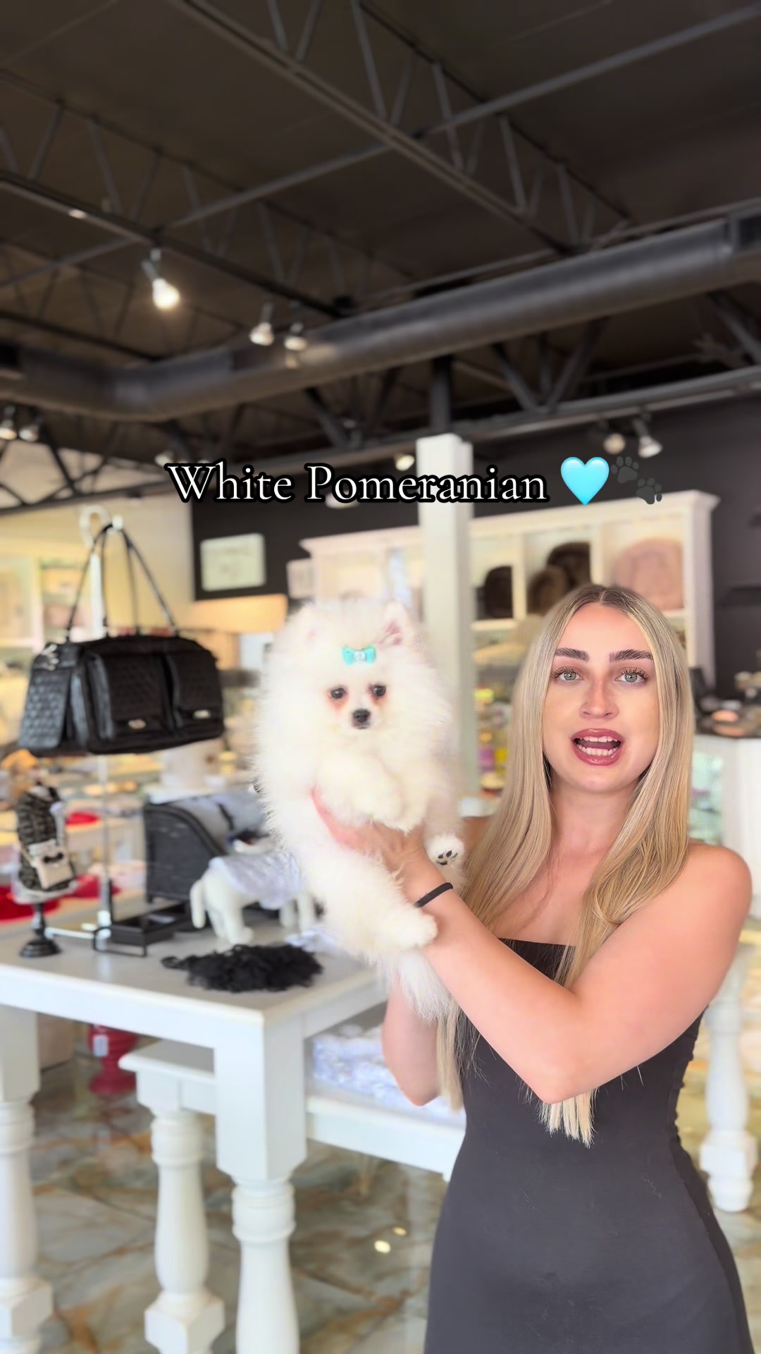 @TeaCups, Puppies & Boutique &reg;️