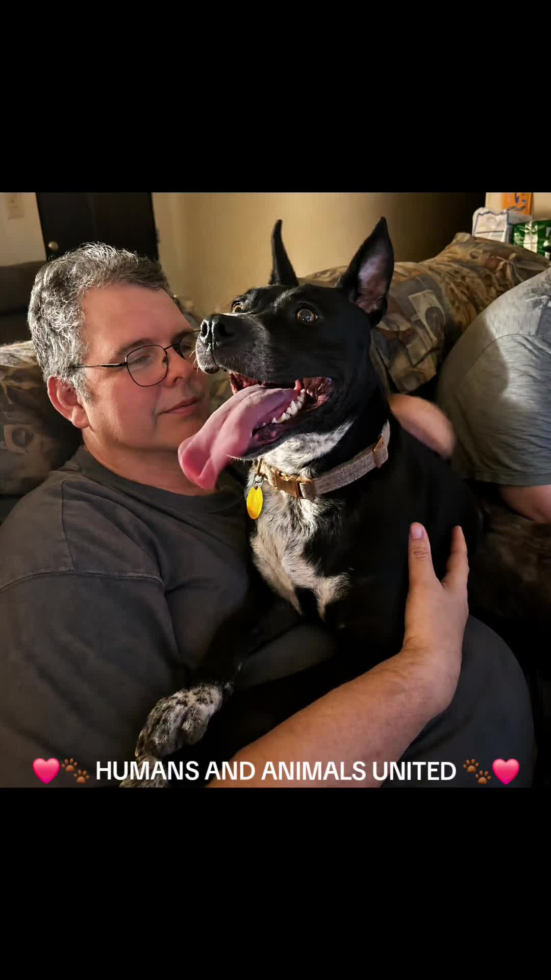 @HumansAndAnimalsUnited