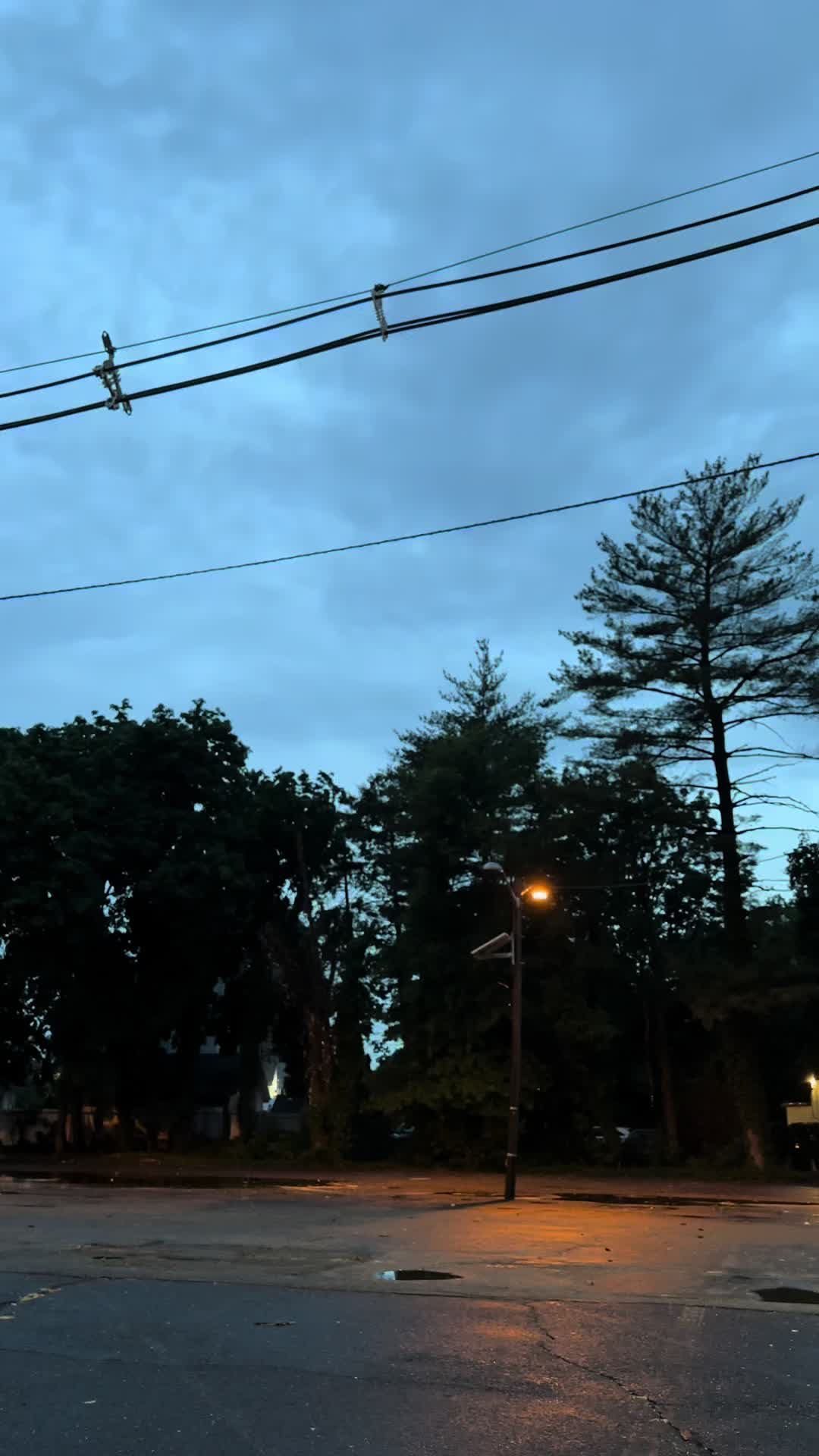 @lonely8nights