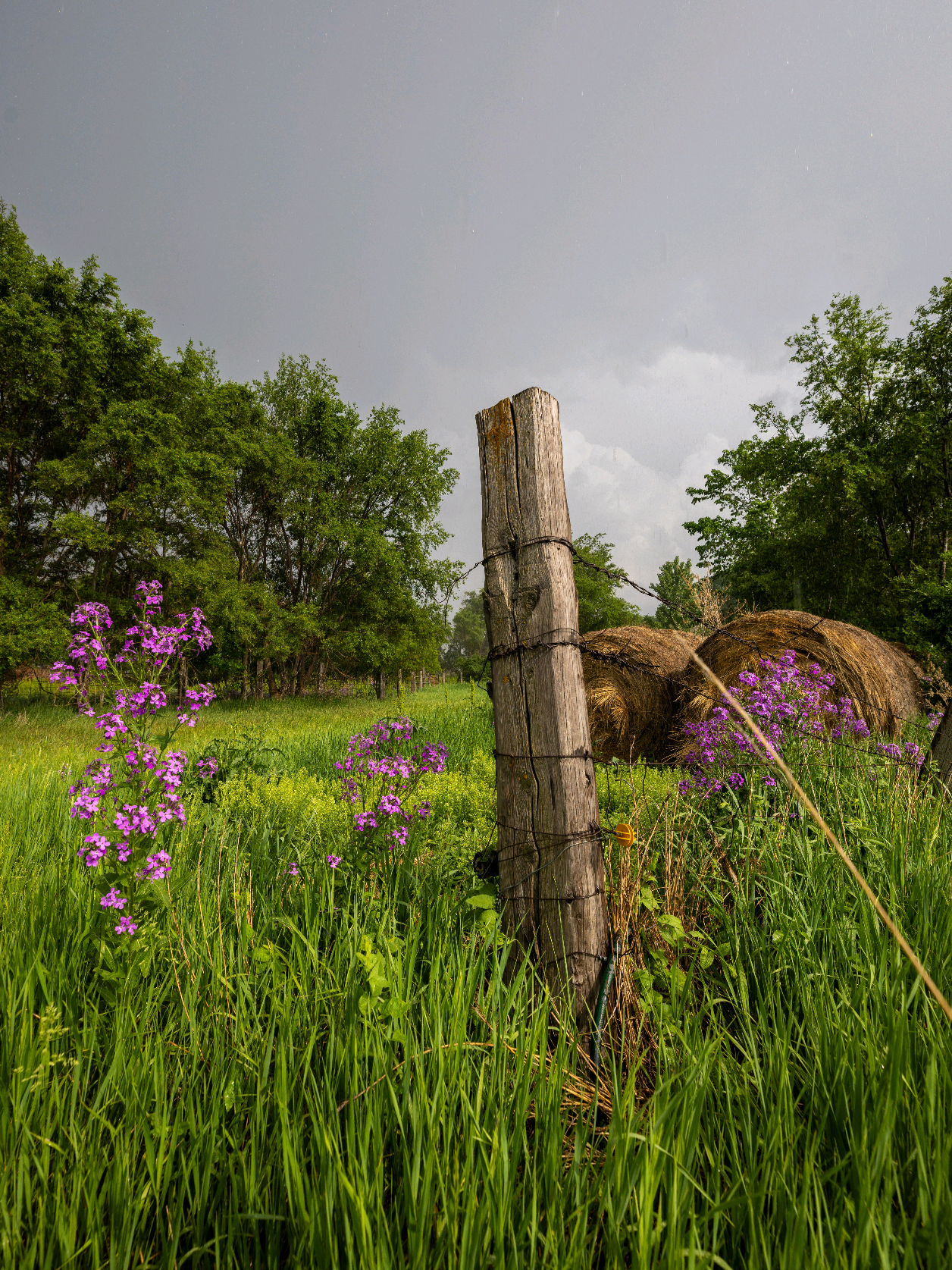 @Aaron Groen