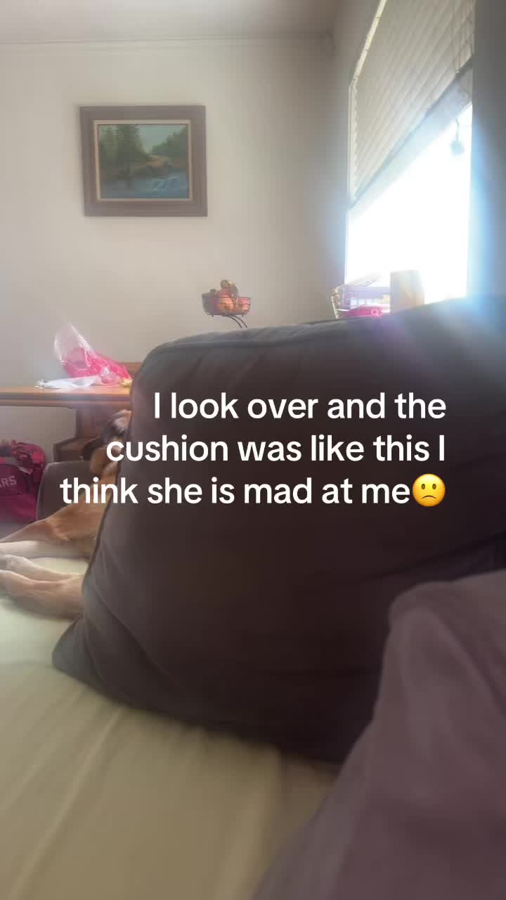 @Lavenderhazzeyy
