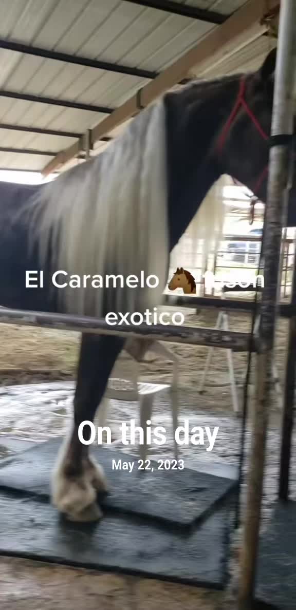 @RANCHOROSAS