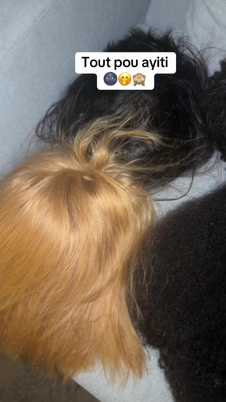@stephzunuop