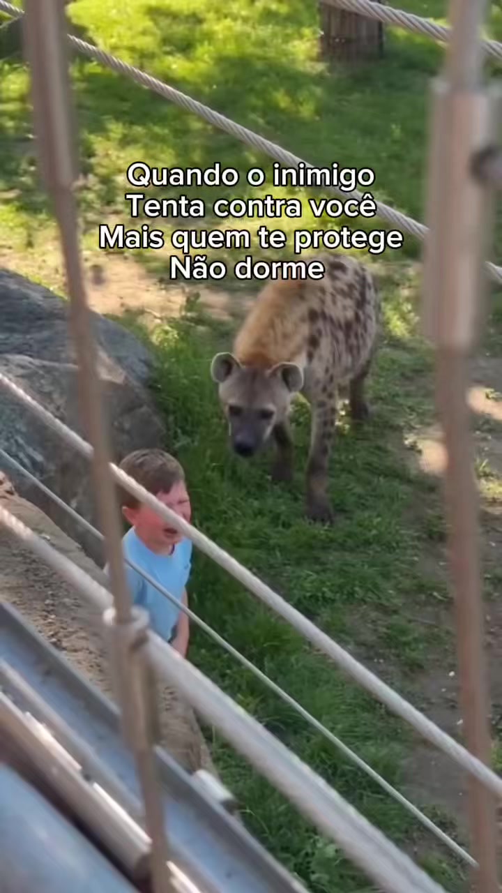 @Orlando cigano
