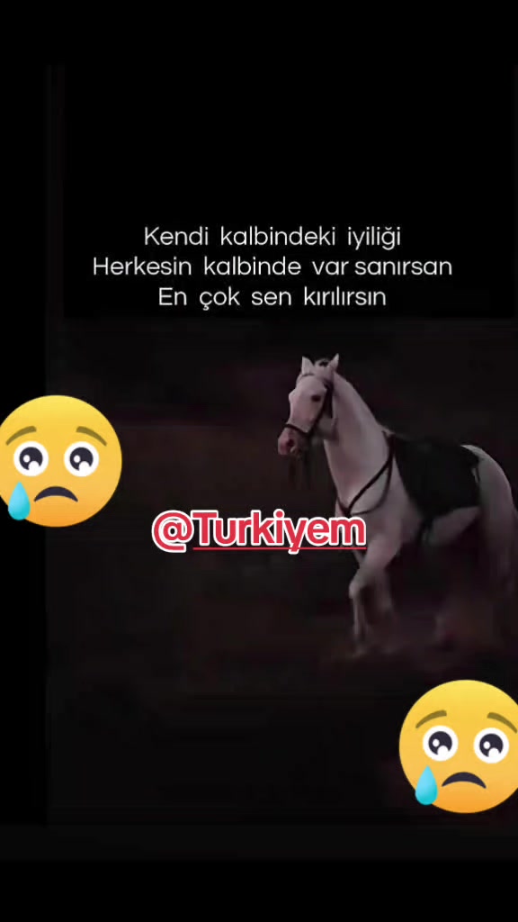 @Türkiyem