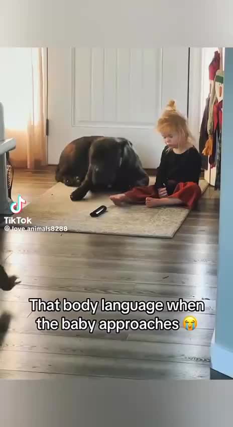 @account 17