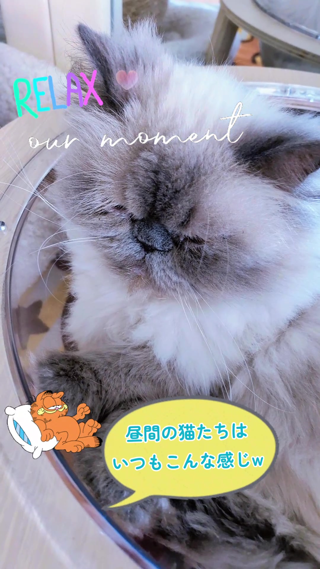 @ベコまま
