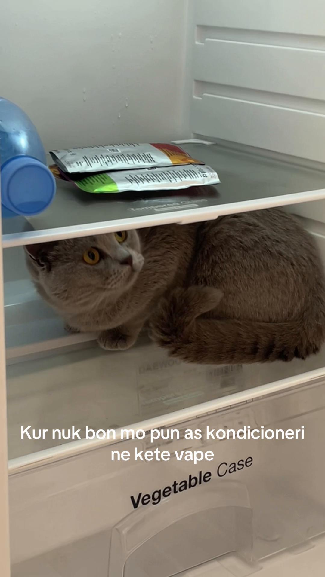 @matchaathecat