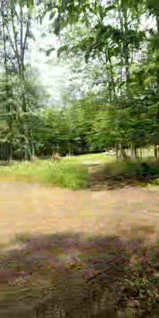 @Brian R. Kightlinger