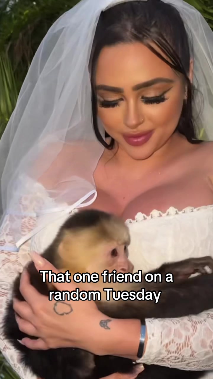 @zoeyfoxxofficial