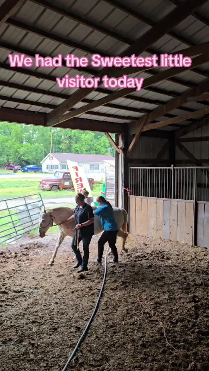 @Small Town Farm LLC