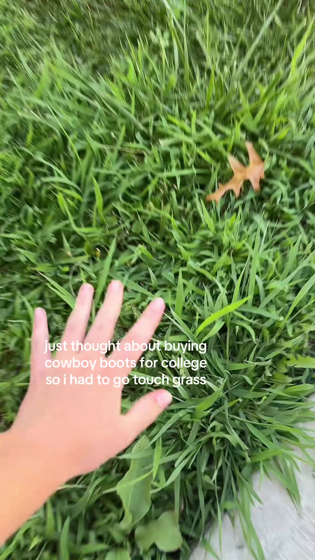 @🐆🐆🐆