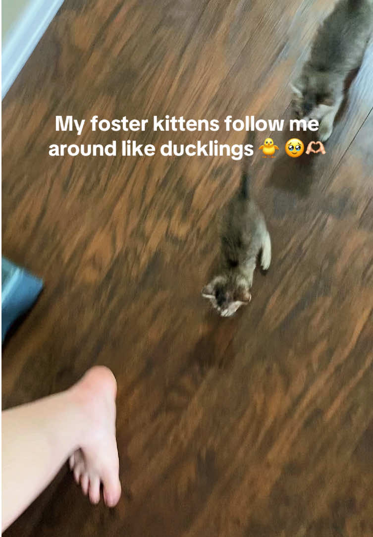 @Catmom92
