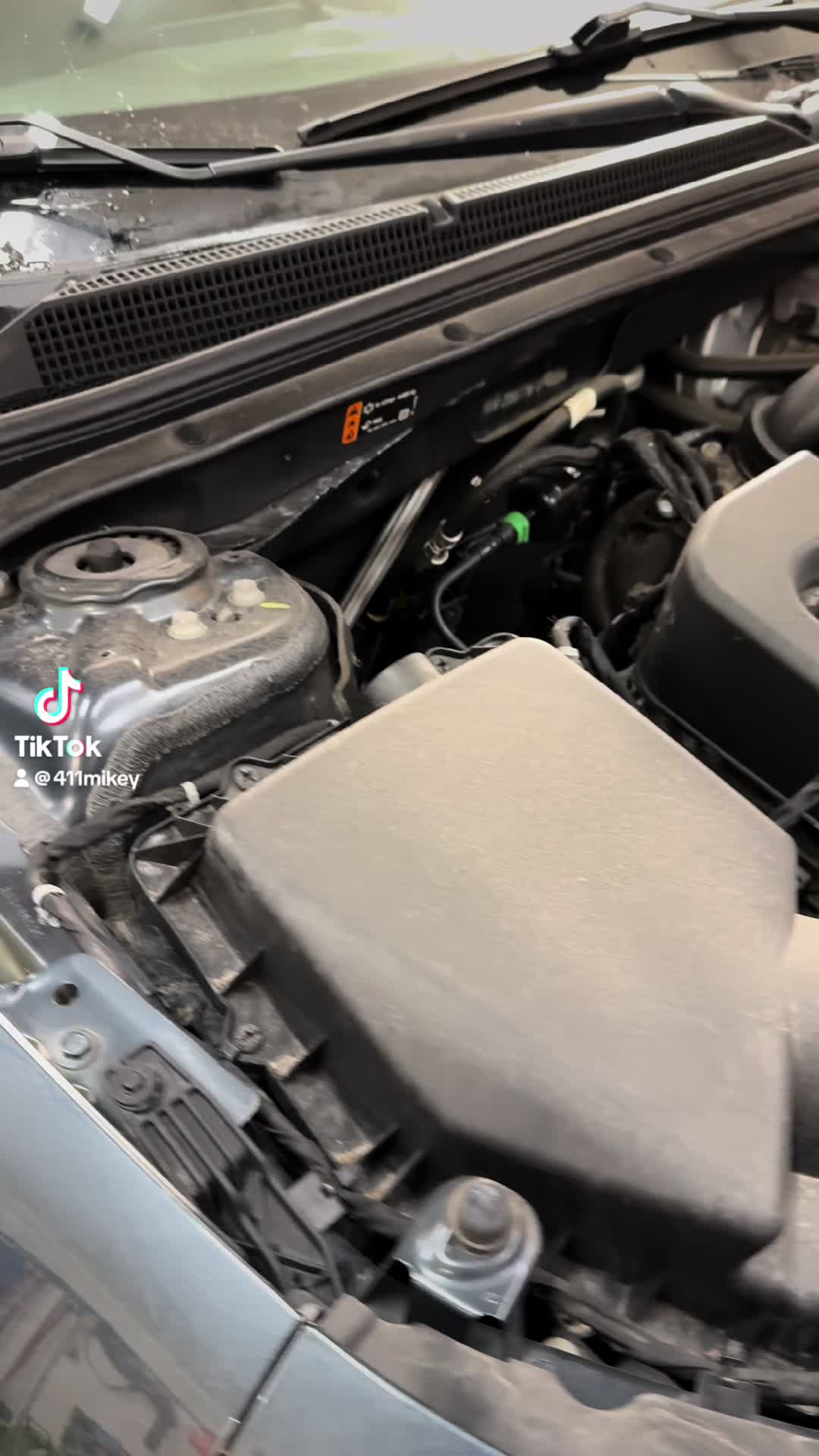 @MikeyLeonard