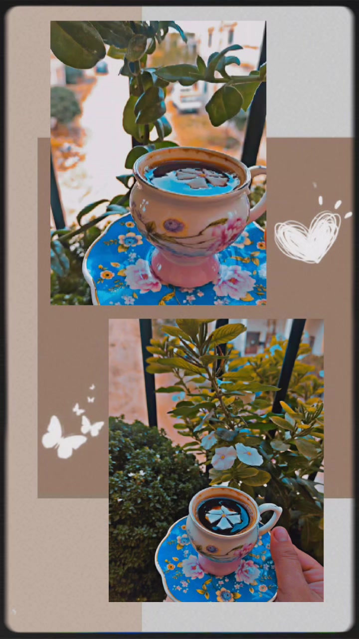 @🌸 زهرة النرجس🌸