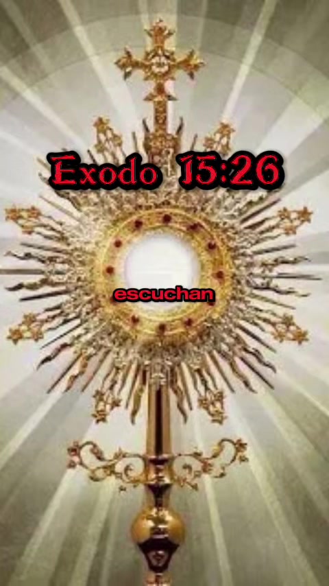@alegre503
