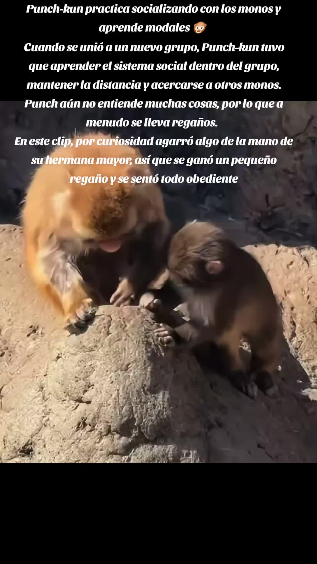 @Roxana Nunez