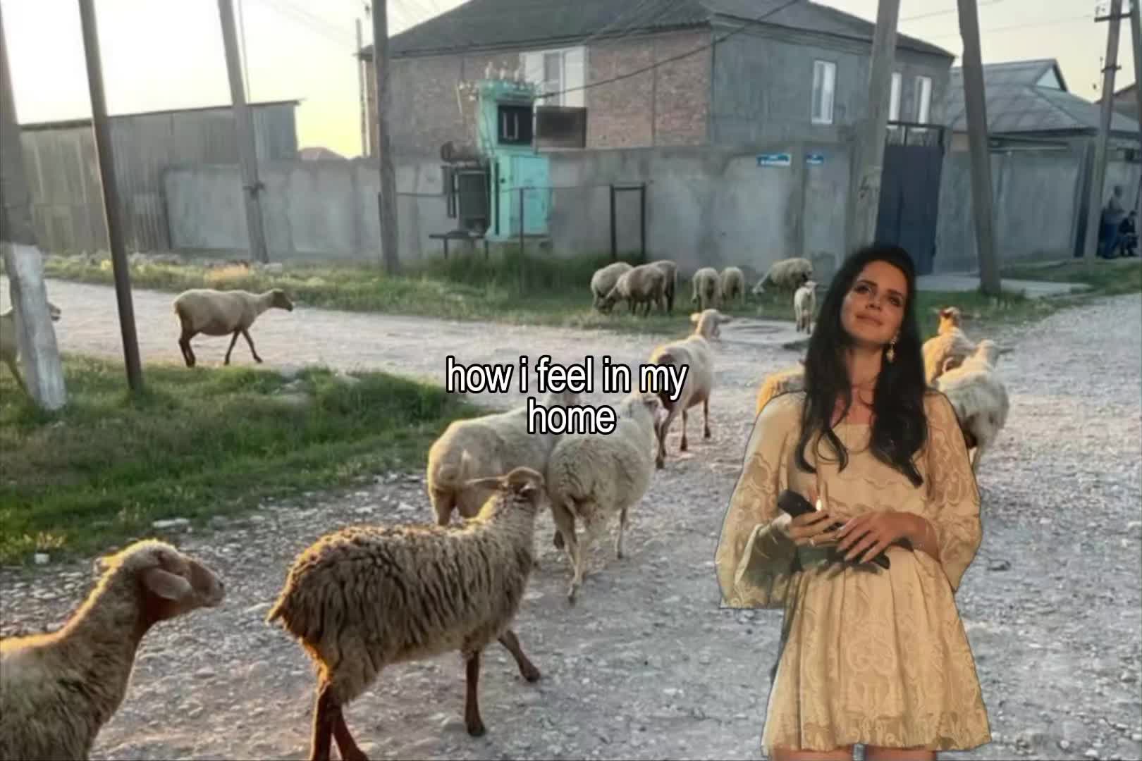 @m🌻