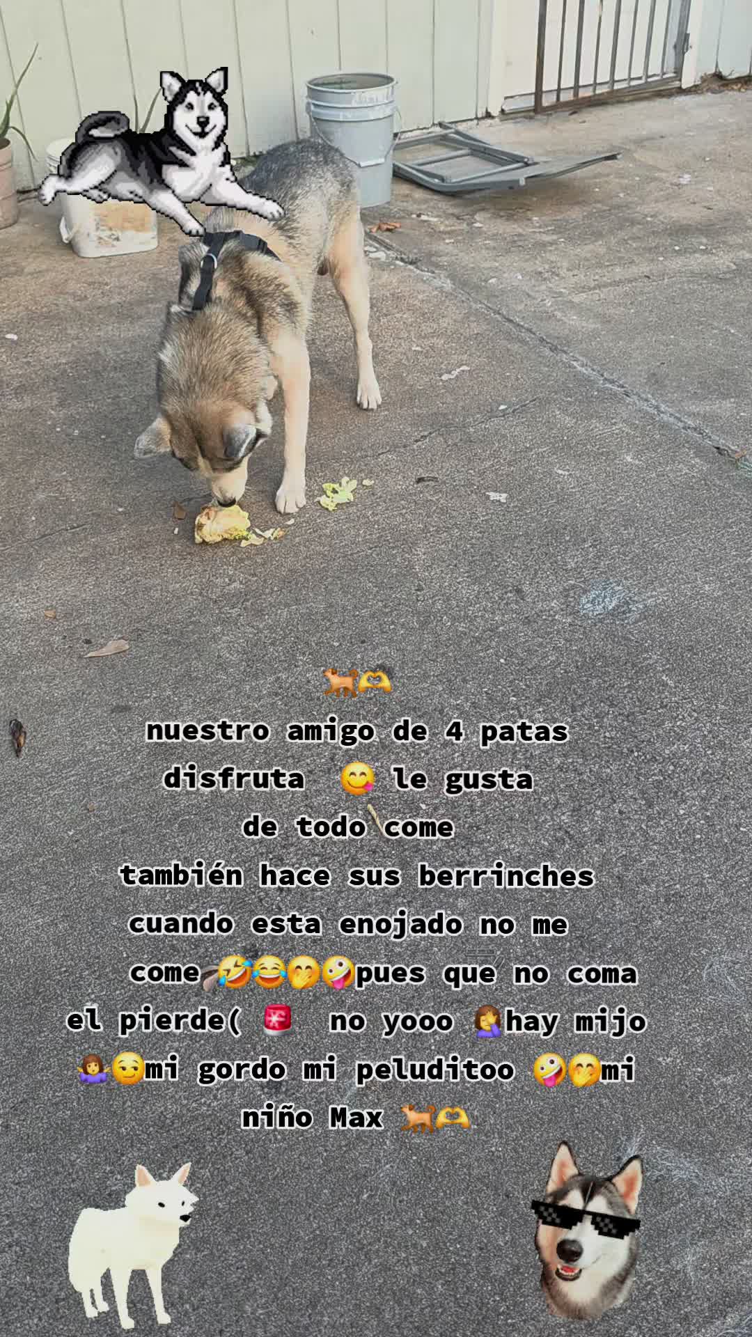 @chinita de 💖 mi vida 🥰