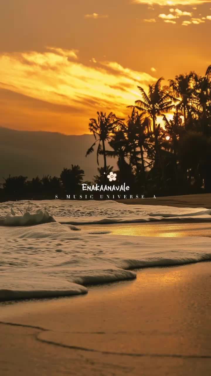 @&hearts;𝙈𝙐𝙎𝙄𝘾 𝙐𝙉𝙄𝙑𝙀𝙍𝙎𝙀&hearts;