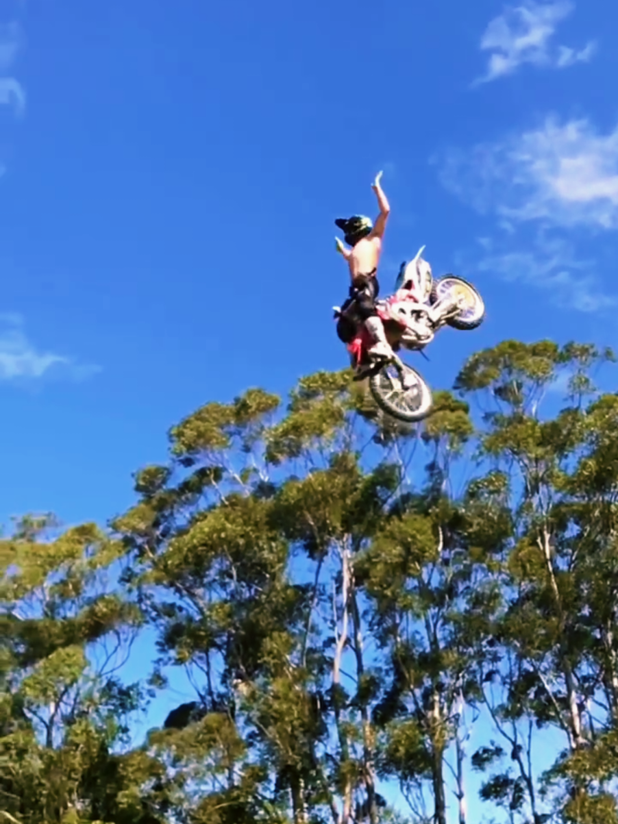 @Fmx_Skull