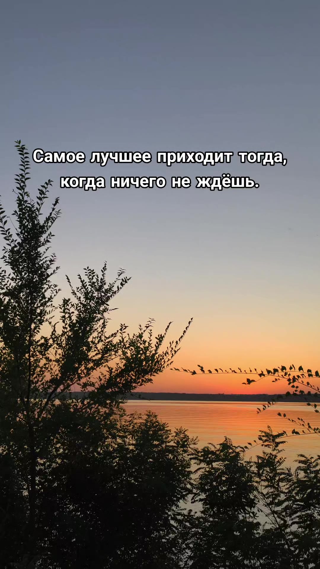 @_Arsen_Galych_