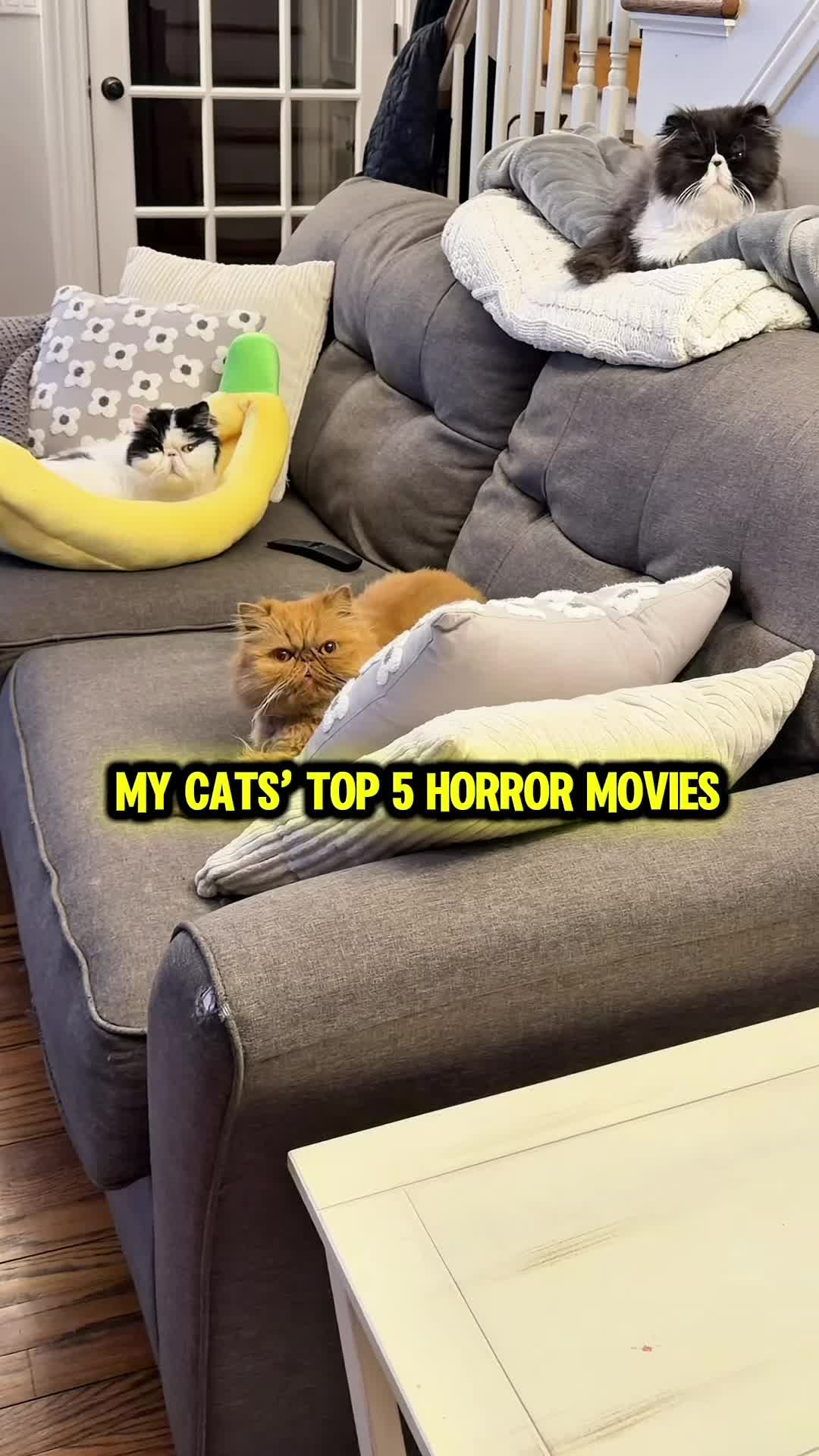 @Walter Bishop The Cat