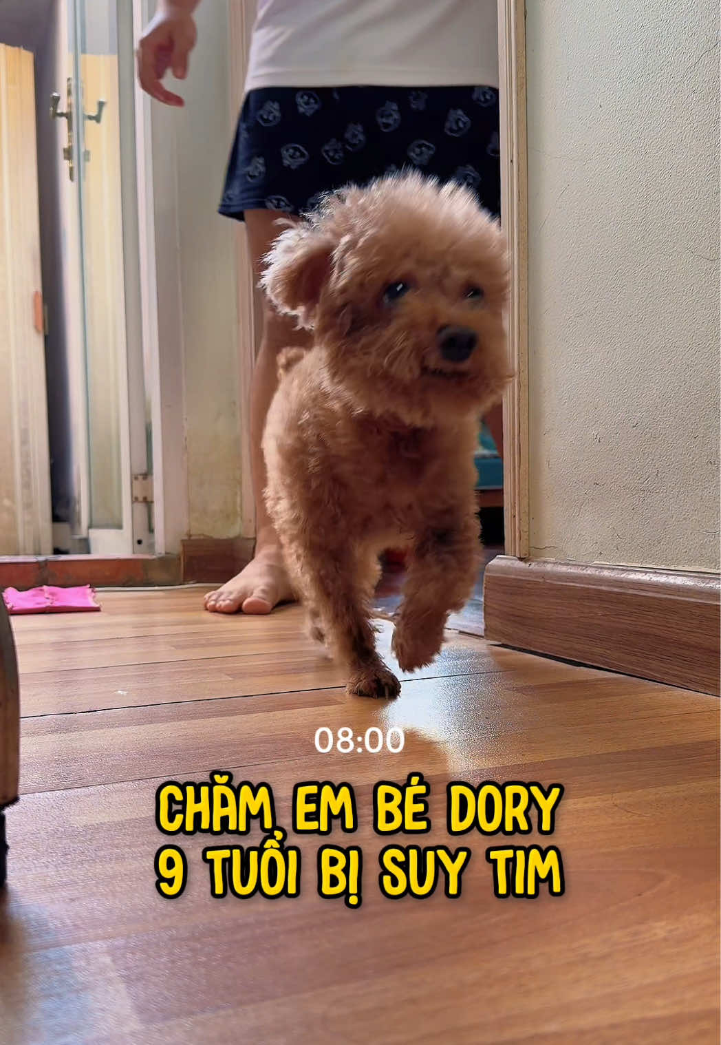 @Cái phòng nhỏ xíu