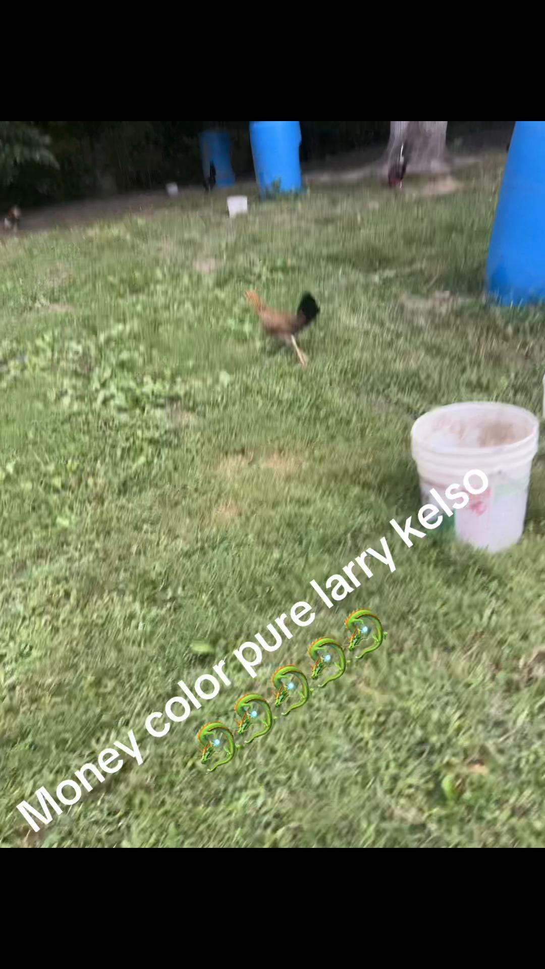 @Dragon game farm