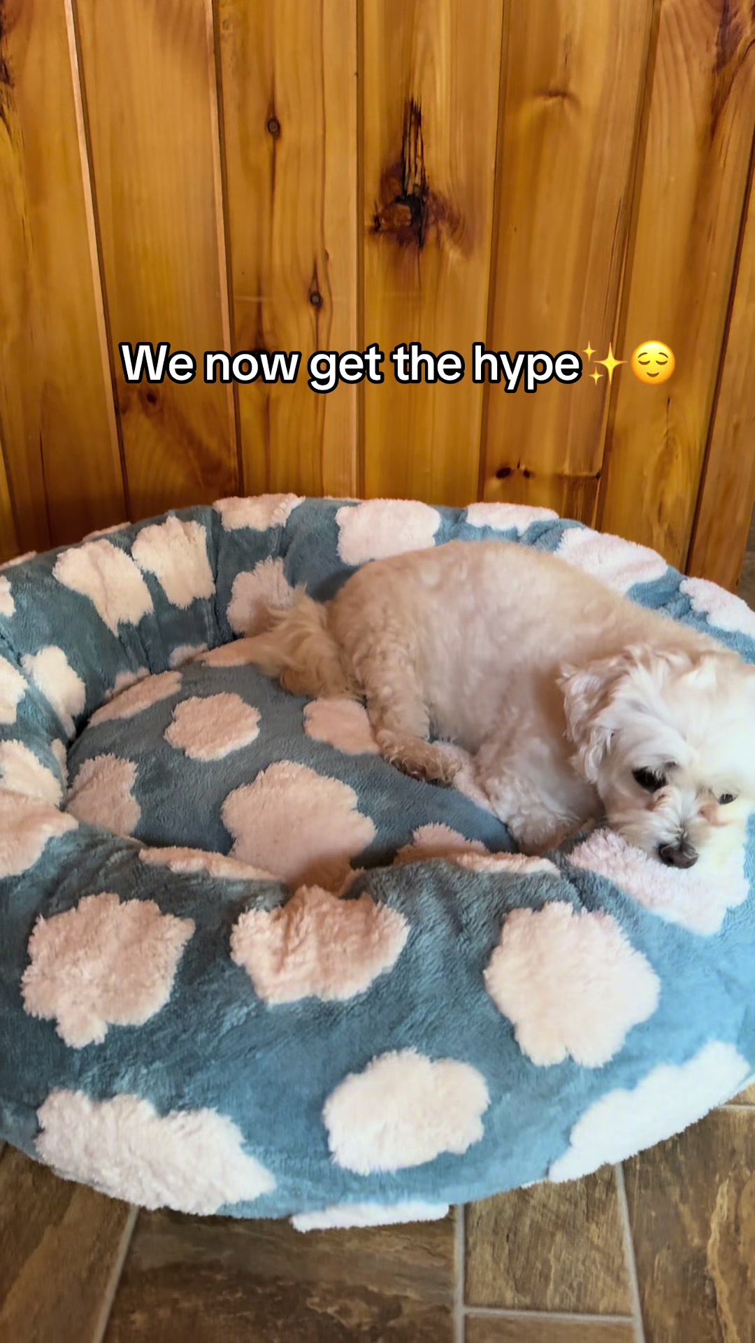 @contentcreator