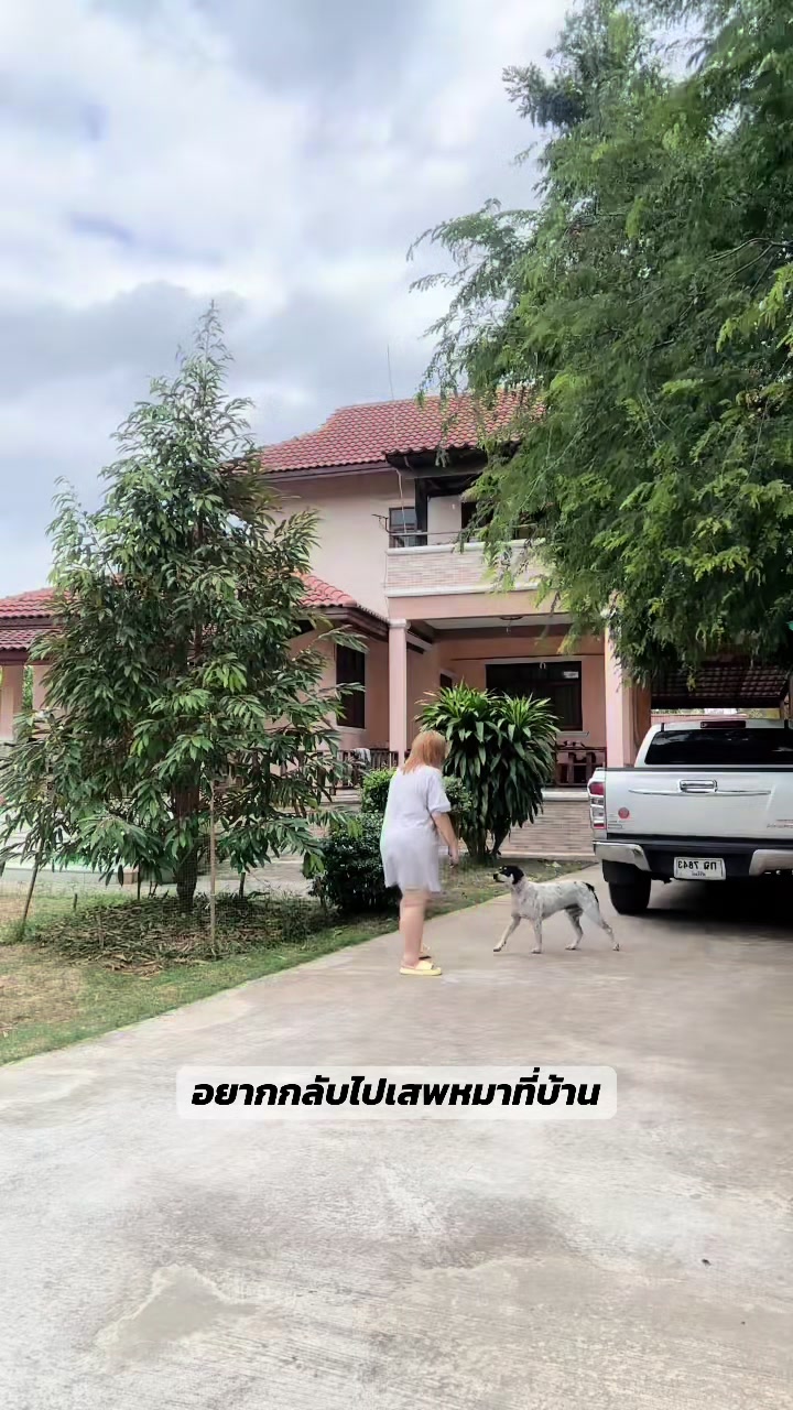 @Baitoei🐷