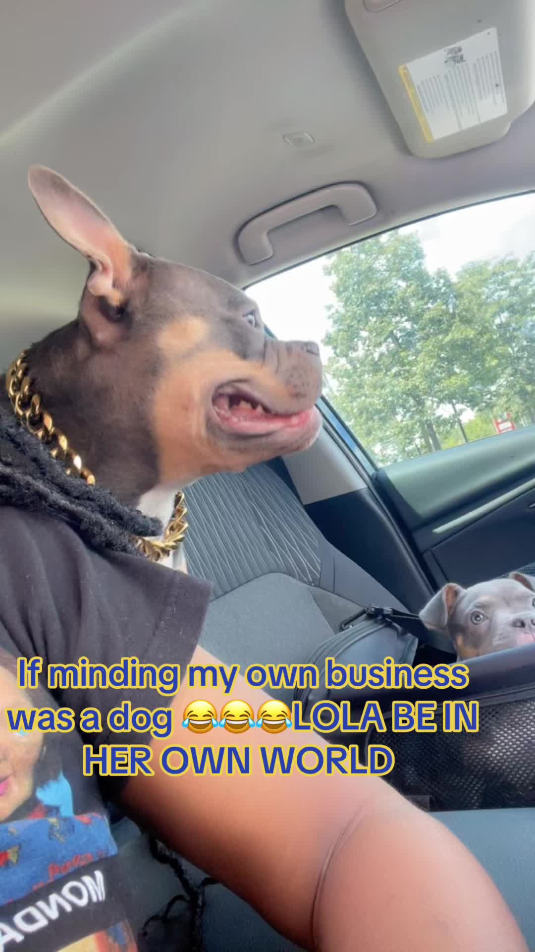 @gardnerkennel08