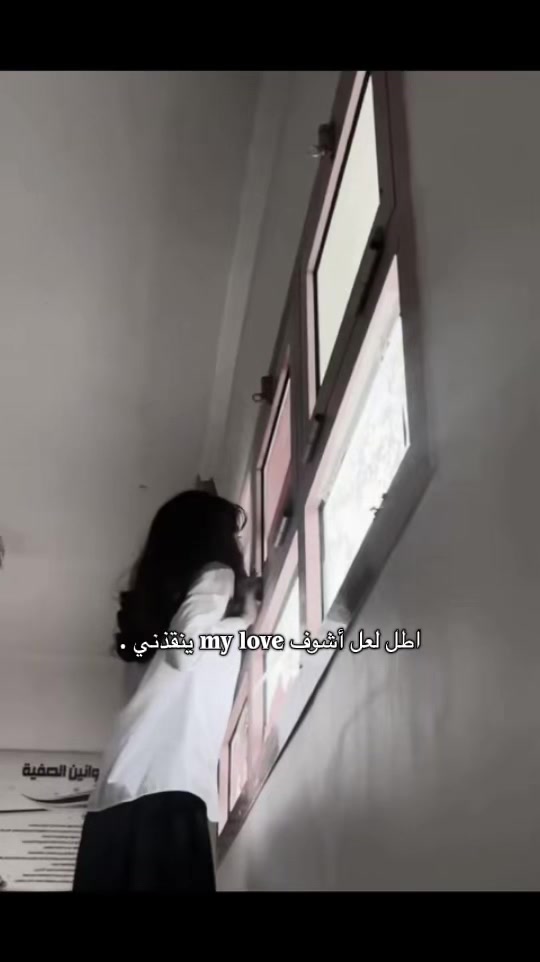@الحلتوتات