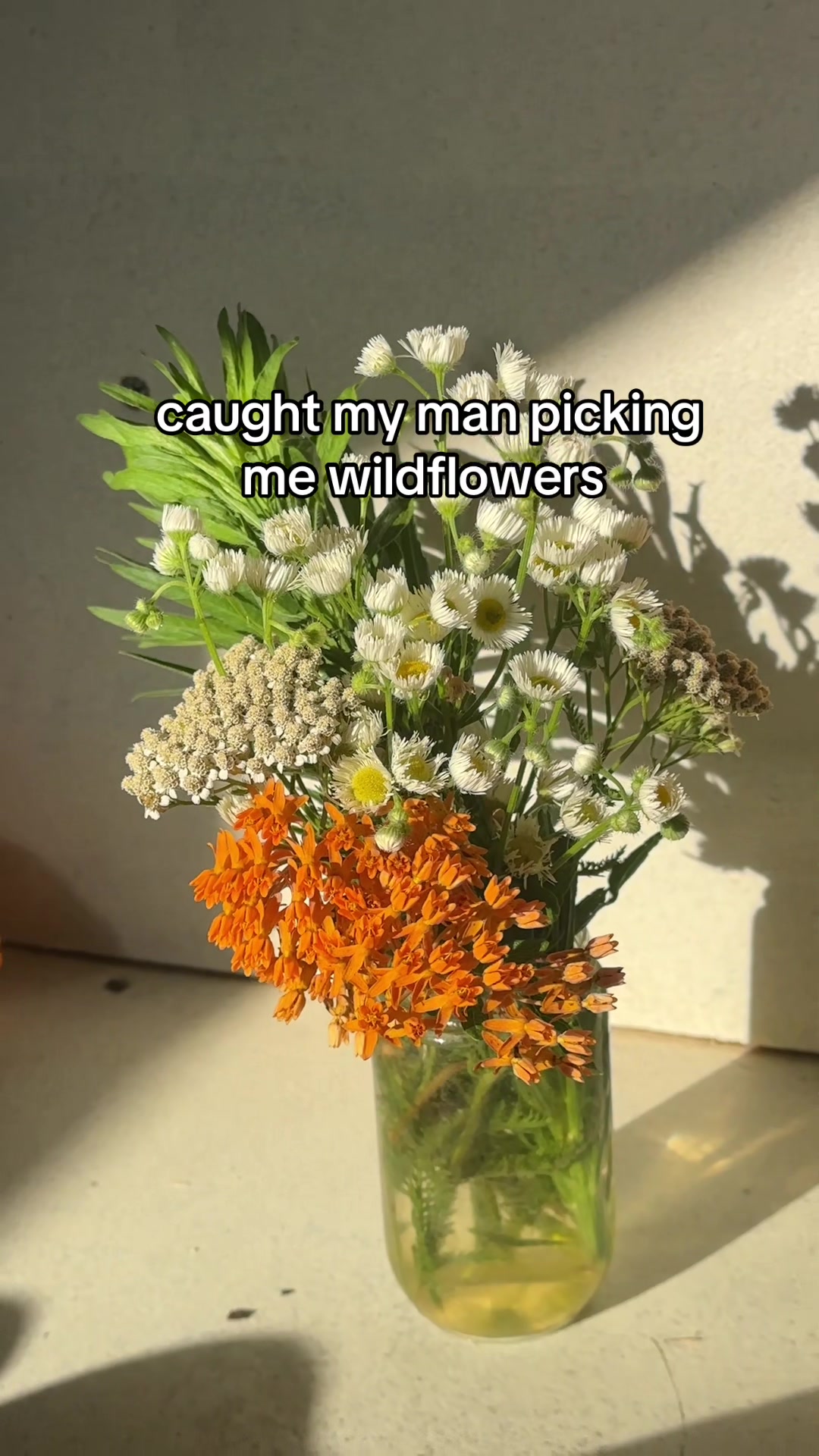 @farmerandtheharpiist