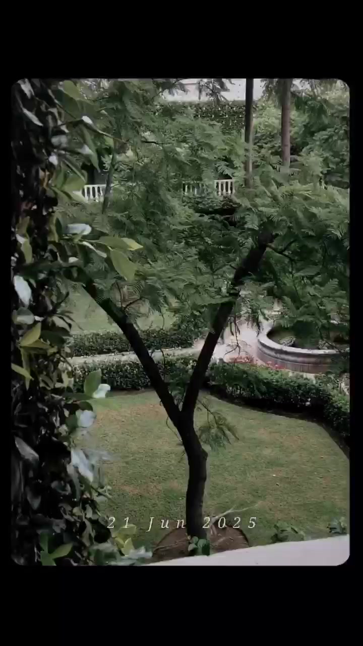@Ali