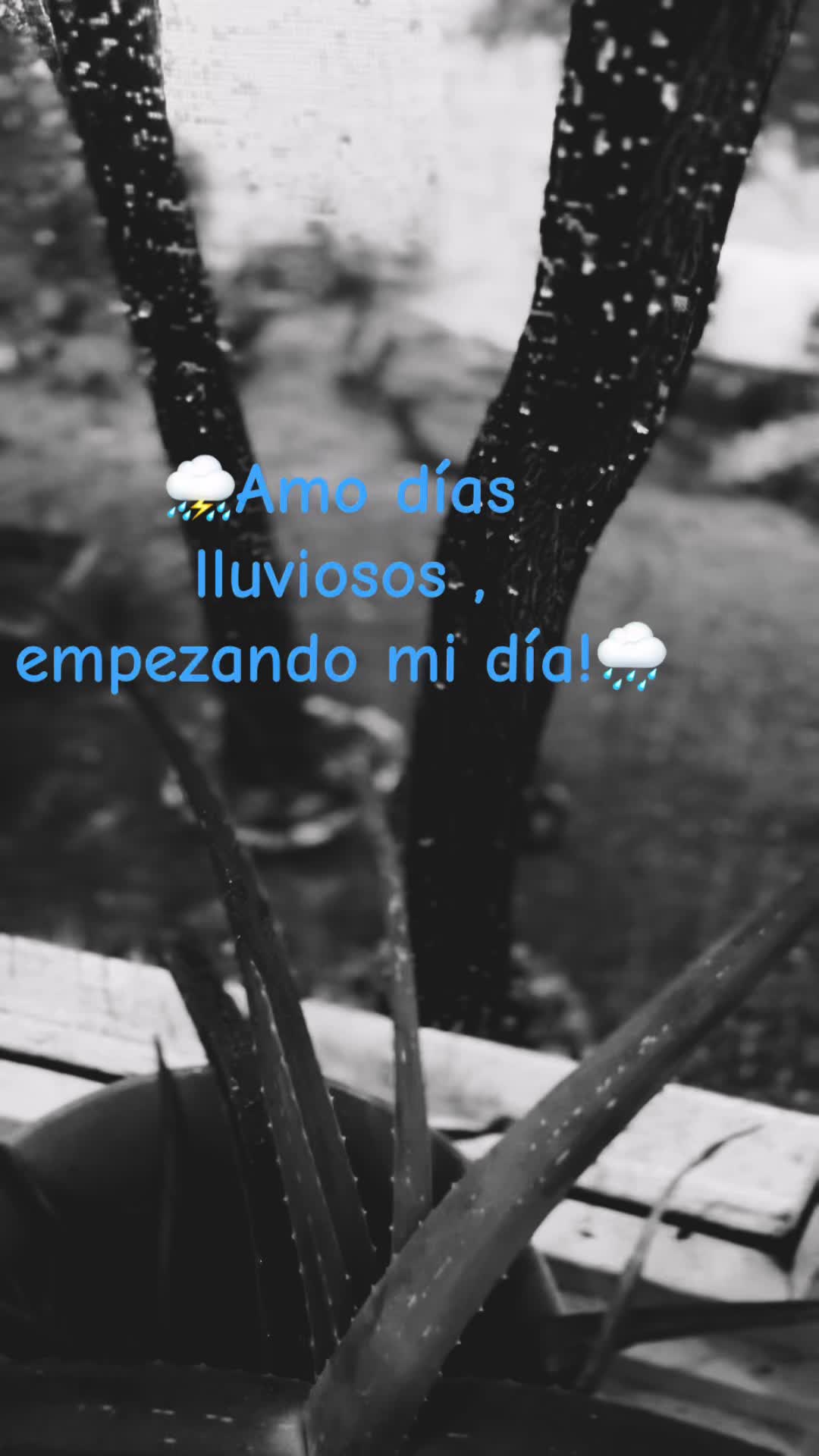 @ChofiAV