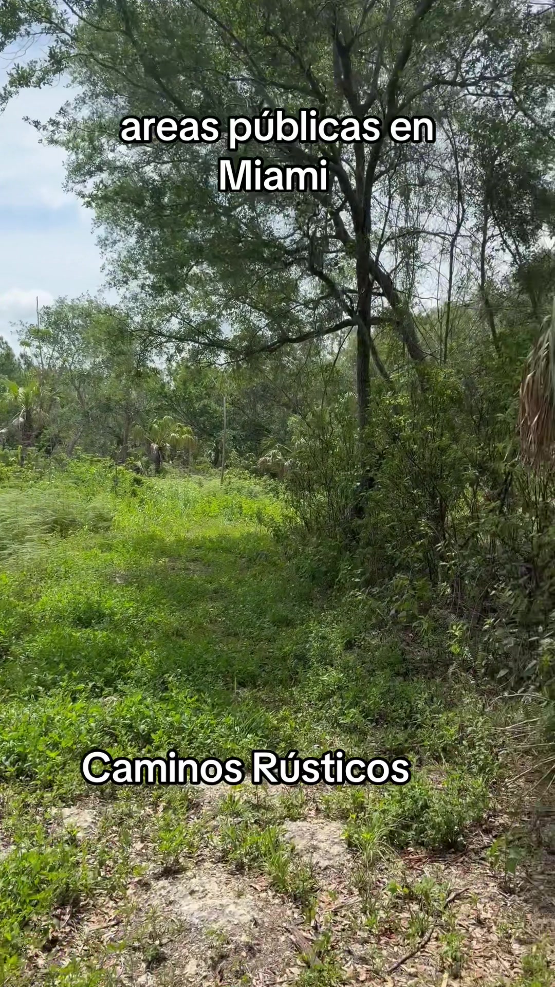 @Florida Land Guy