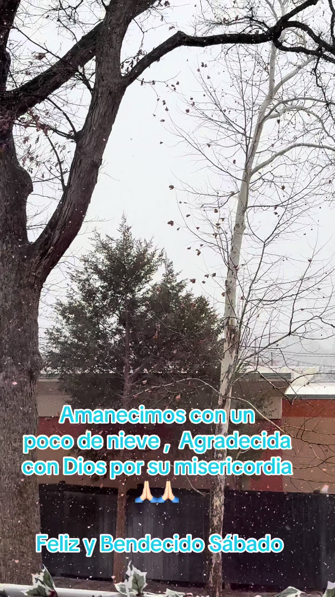 @🦋 Celeste M