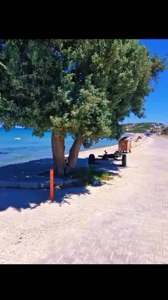 @meltemsultan35