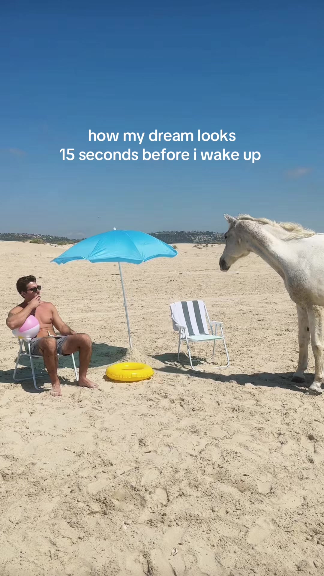 @hadar_lavy