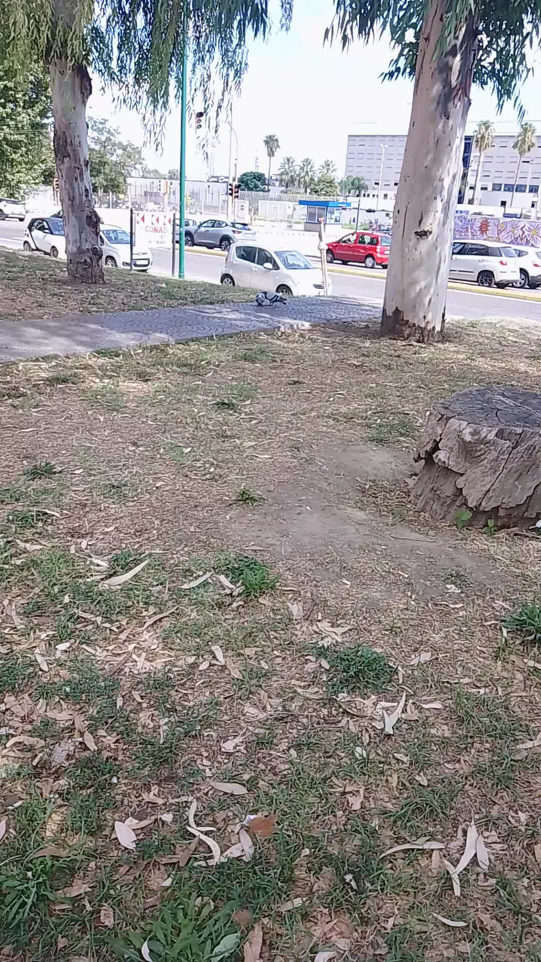 @Mario Arena