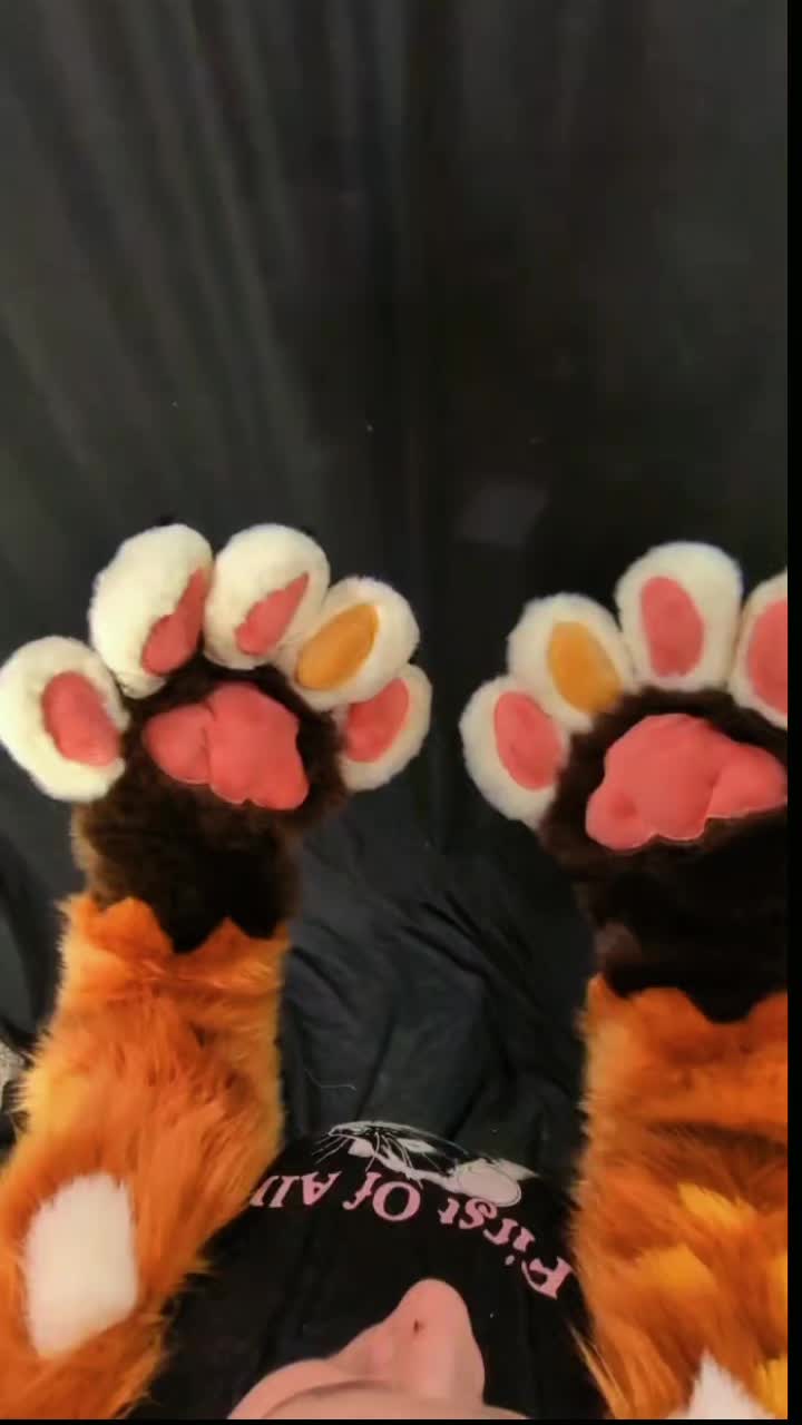 @GnollPatrol