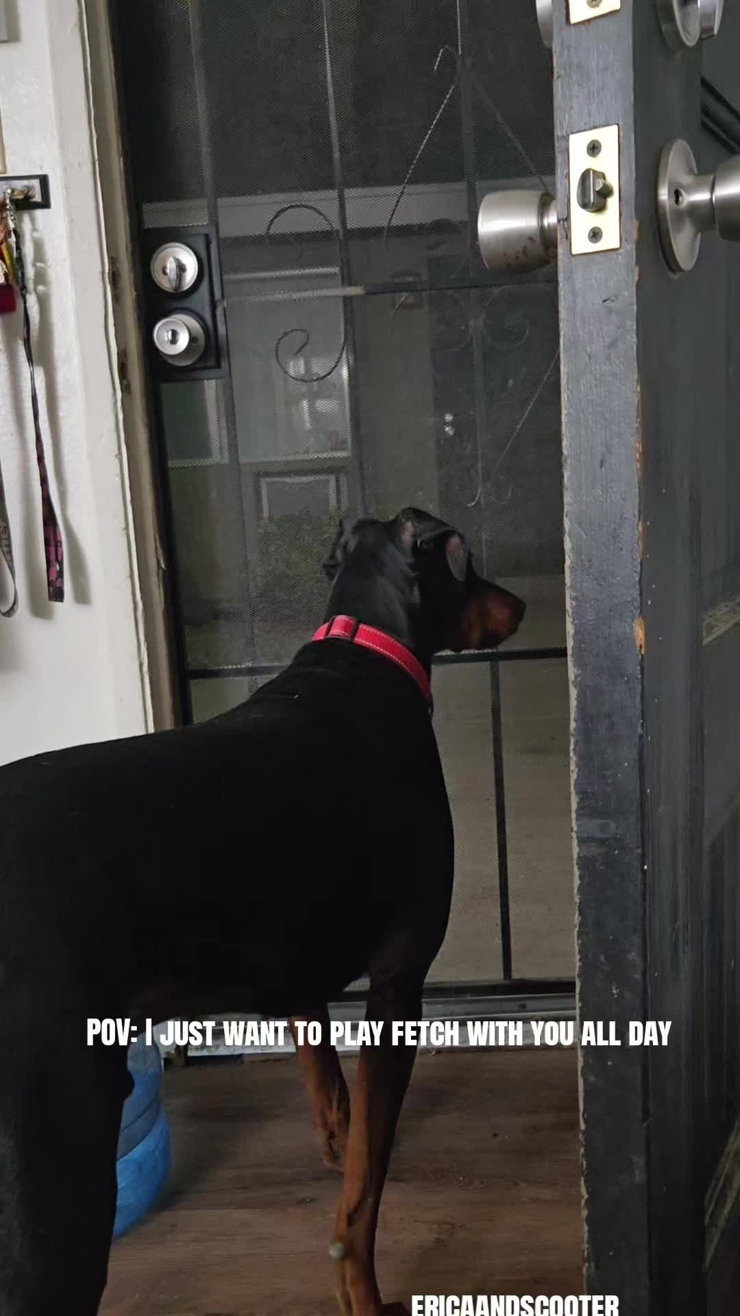 @ericaandscooter